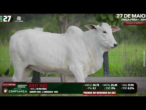LOTE 27   RDM B917