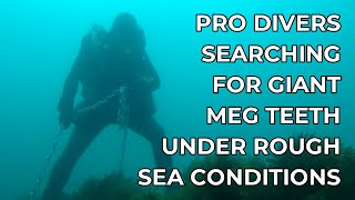 Pro divers searching for Megalodon Teeth deep under rough sea conditions