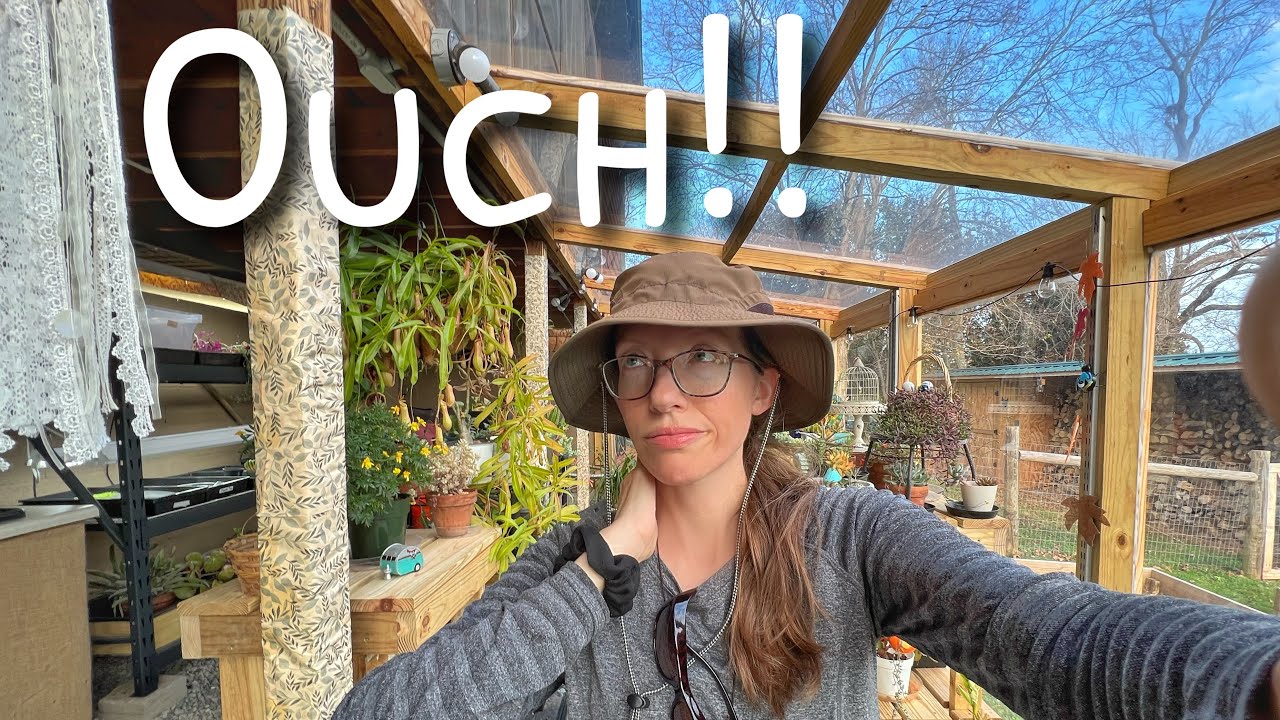 Unseasonably warm weather and biting bugs! | Vlog - YouTube