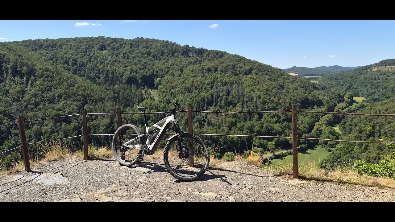 mtb-reifen 29 zoll unplattbar test Schwalbe Marathon Plus MTB Fahrradreifen – Reifen 27.5 AI-Eyewear Größe:38 - M Assassin's Creed Odyssey Best