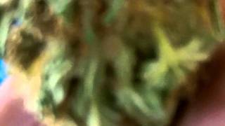 101_0301.MP4