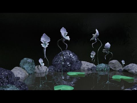 Ultricularia gibba