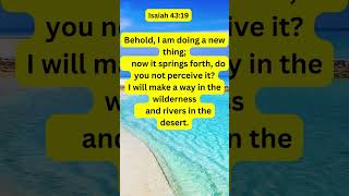 Behold, I am doing a new thing-Isaiah 43:19 #newthing #shorts #isaiah #promise #faith
