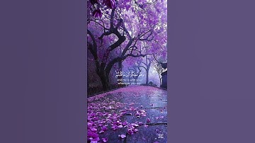 سورة الحديد القارئ شريف مصطفى #quran #راحة_نفسية