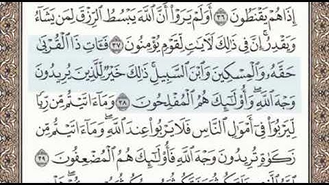 سورة الروم الصفحة 408 الشيخ محمد صديق المنشاوي