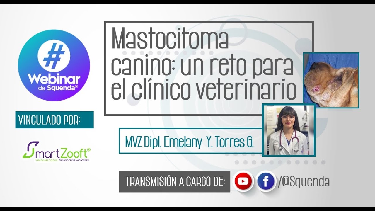 Mastocitoma canino: un reto para el clínico veterinario - MVZ DIPL. Emelany Yazbeth Torres Gomez