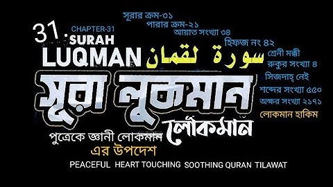 031)✍♥️ সূরা লুকমান | লোকমান | (سورة لقمان) Surah Luqman ♥️✍ Peaceful, Soothing Quran Tilawat