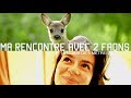 Histoire sauvage#1Ma rencontre avec 2 faons (à moins de 5 mètres)