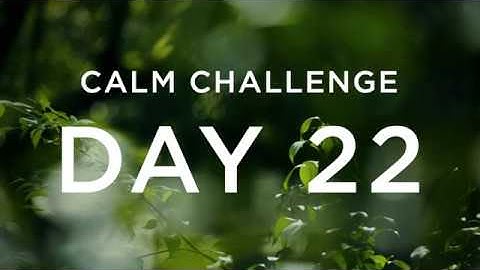 Calm Challenge | Day 22