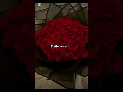 Video Regali da fare a San Valentino ???? #viamo #foryou #shorts #aestetic #sanvalentino #fidanzati #amore