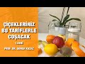 Iekleriniz bu tariflerle coacak best naturel flower foods bol iek atran tarifler