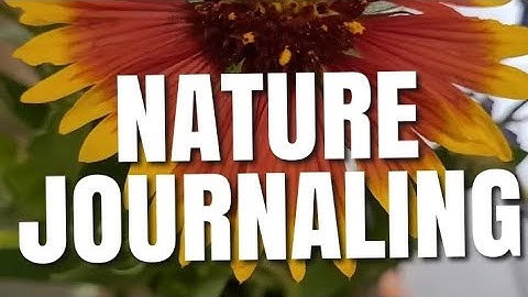 Be Inspired - Nature Journaling  #shorts