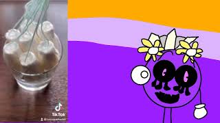 Zingo Reacts To Marshmallows On A String