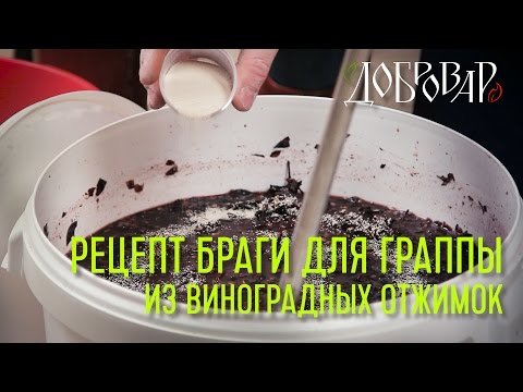 Граппа в домашних условиях