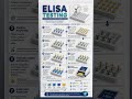 “Step-by-Step ELISA in Short 🎯”.