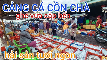 25 -2 Khám phá Chợ Cá Cồn Chà ở Cảng Cá Phan Thiết ăn Hải sản tươi sống Siêu Ngon ở Bình Thuận