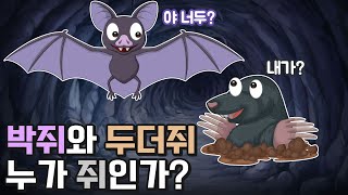 박쥐와 두더쥐는 쥐인가