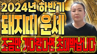 ⭐미리보는 2025년 삼재띠 돼지띠운세!⭐ /축하합니다! 금전운 대박나는 복삼재가 찾아온다!95년생 83년생…