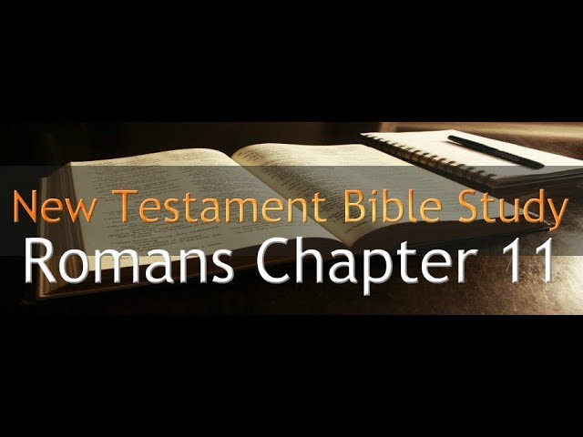 Romans Chapter 11 - Reading Through The Holy Bible