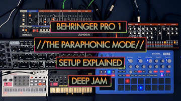 BEHRINGER PRO 1 // The Paraphonic mode // Setup explained // Deep Jam (no talking)