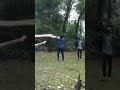 Man attempts to climb the trunk but epic fails  challenge failed  fail army  friends foreverdost