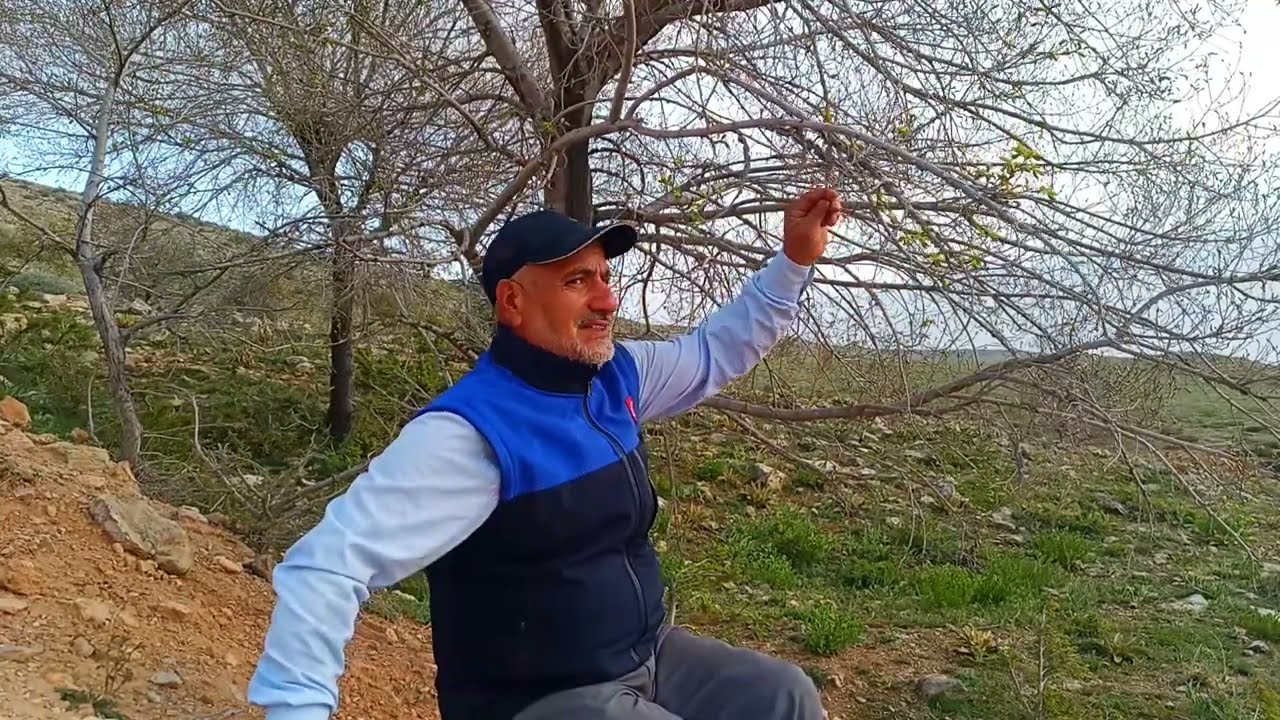 #Anneler Gününe Özel.. Tree care in nature (08)