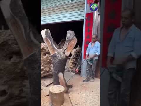    فن نحت الخشب الصين  مصر السعودية   العراق الجزائر