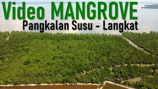 VIDEO  MANGROVE  PANGKALAN  SUSU