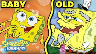 Spongebobs Stages Of Life Baby Sponge To Old Man Spongebob