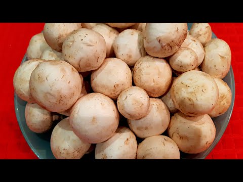 Эта ЗАКУСКА из ШАМПИНЬОНОВ удивила Всех моих ГОСТЕЙ. Просто! быстро!