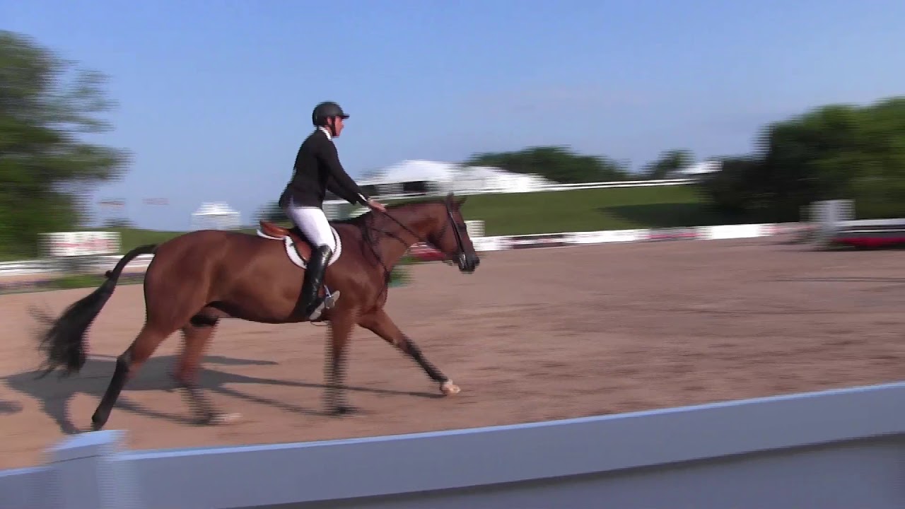 Columbus & Nikko Ritter | $5,000 USHJA National Hunter Derby - YouTube
