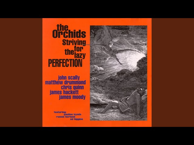 洋楽 The Orchids / Striving For The Lazy ... sddefault.jpg