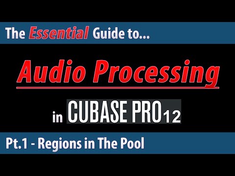 The Essential Guide