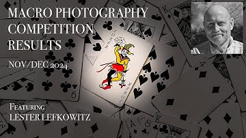 Macro Competition Results - 11/12/2024 - with Lester Lefkowitz