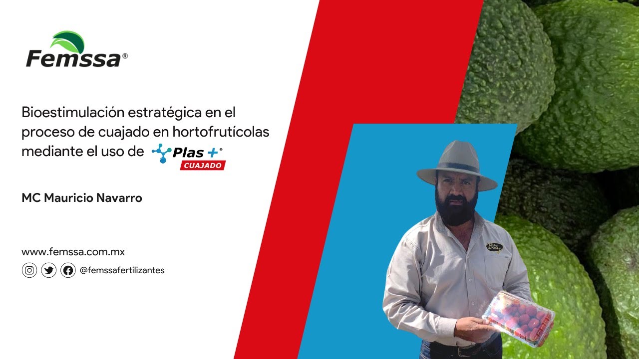 Bioestimulación estratégica en proceso de cuajado en hortofrutícolas mediante el uso de Plas+Cuajado
