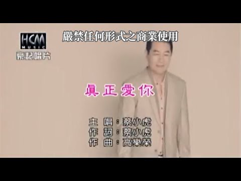 真正愛你 蔡小虎