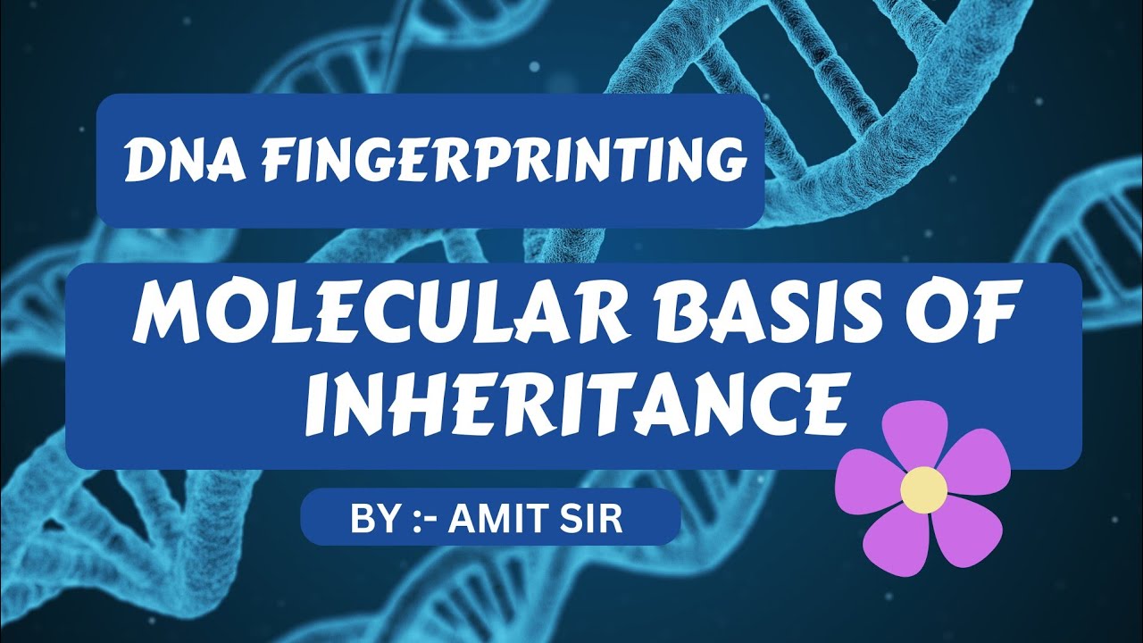 DNA Fingerprinting | Class 12 | Molecular Basis of Inheritance in one shot | Biology | NEET 2026 