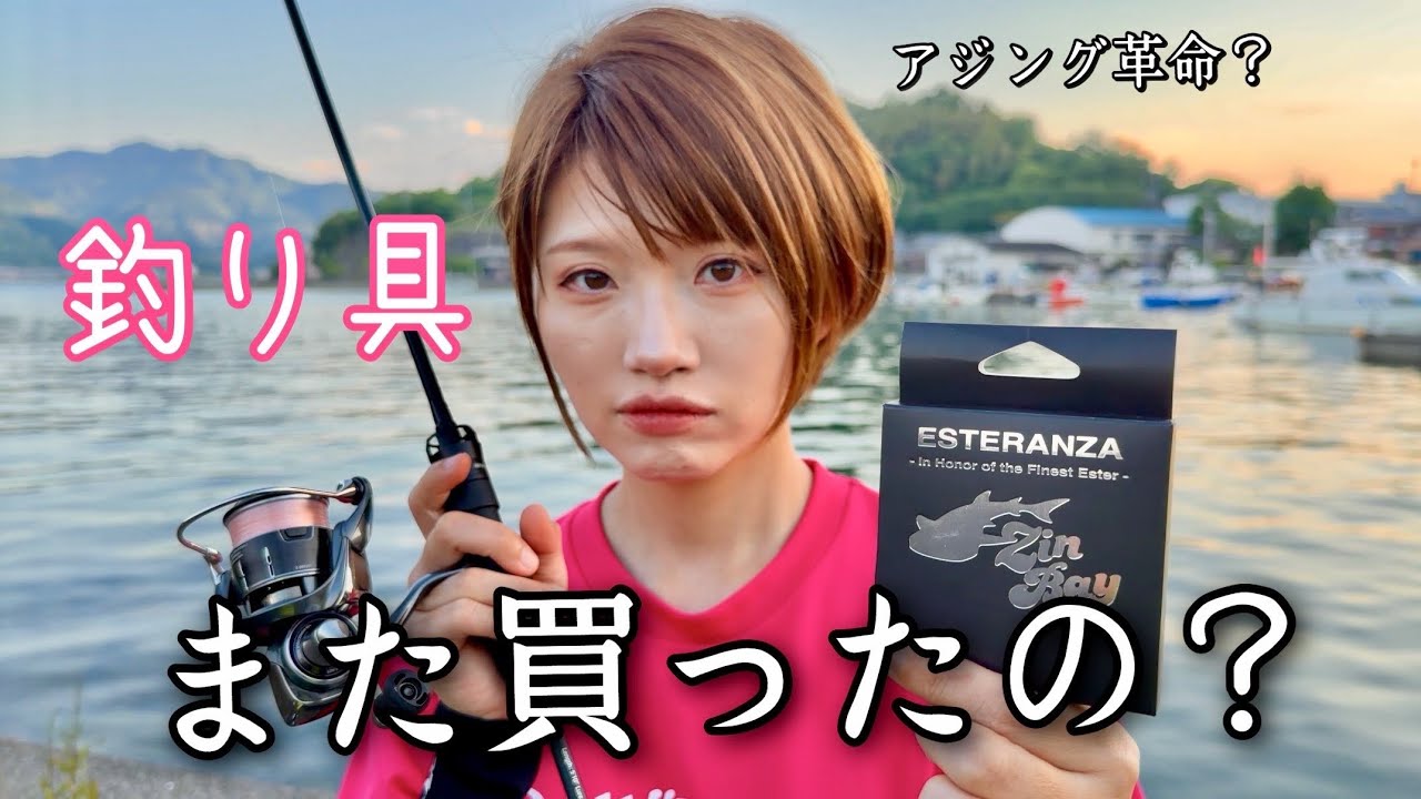 DVD ❤️26枚セット❤️爆釣り☆ルアー☆アジング☆秋丸美帆☆非売品