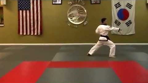 Pyung Ahn 1 - Rear View - Without Count