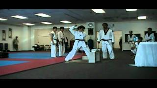 Lisa's TaeKwonDo 1st Dan Black Belt Brick Break