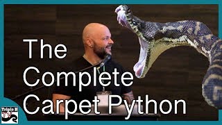 The Complete Carpet Python with Nick Mutton  Triple B TV Ep.192