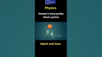 CBSE Class 11 Physics : Newtons laws(pulley block system)