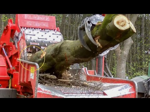 Удивительно современные автоматические лесопильные станки - Невероятный деревообрабатывающий завод