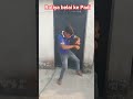 short video?rotiya belhi ke pdi🥰🥰😍😍