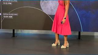 Partial Lunar Eclipse