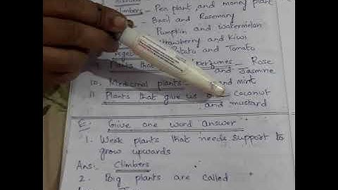 Ecps class 1EVS CHAPTER 10 Plants I see part 4 revision