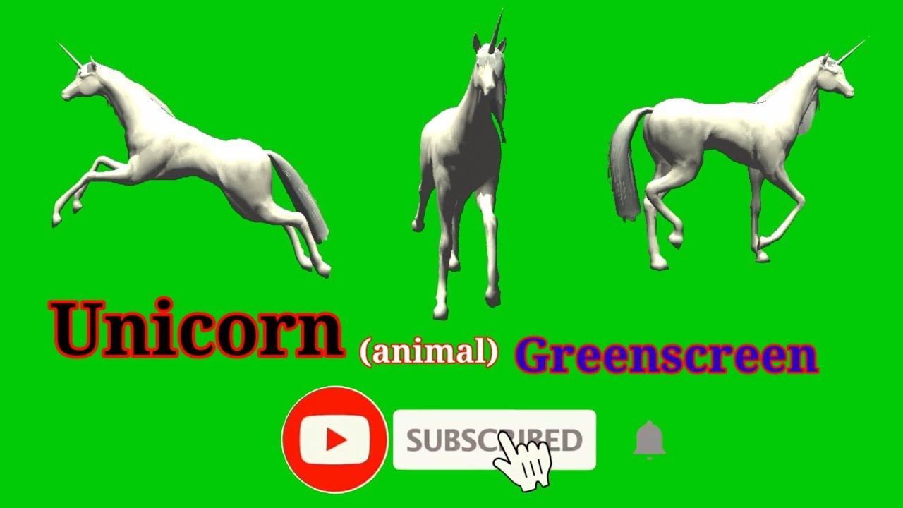 Unicorn green screen video unicorn cartoon green screen unicorn