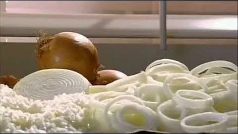 Репчатый лук