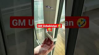 GM Uzbekistan 🤣🤣
