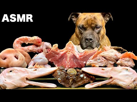 【大食い犬ASMR】生肉を飲み干し骨を噛み砕く愛犬 MUKBANG Dog eats raw meat bones